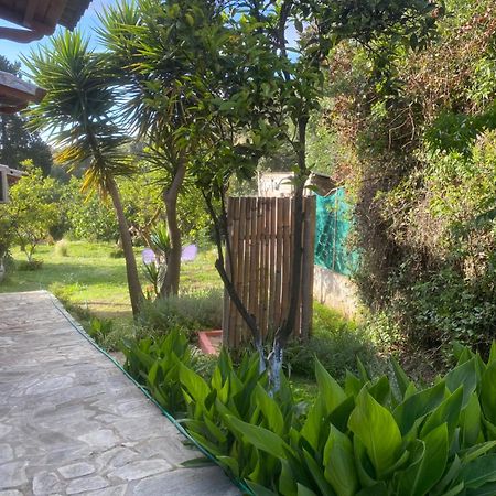 Casa Piccolino Villa Paramonas  Buitenkant foto