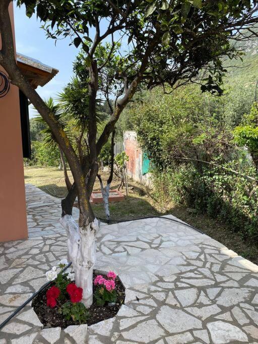 Casa Piccolino Villa Paramonas  Buitenkant foto