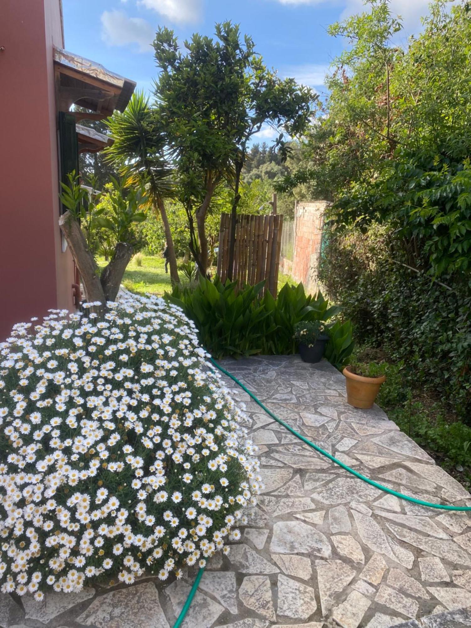 Casa Piccolino Villa Paramonas  Buitenkant foto